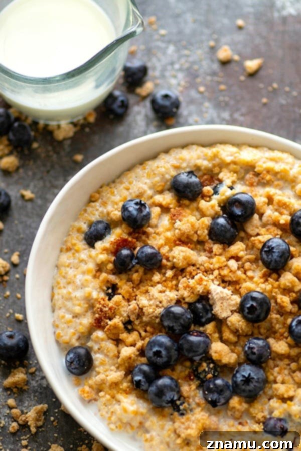 Blueberry Muffin Crumble Steel-Cut Oats 5 Overhead shot of a delicious bowl of Blueberry Muffin Streusel Steel-Cut Oatmeal with a spoon