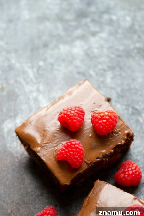 Decadent Dark Chocolate Raspberry Bake 2 Rich Dark Chocolate Raspberry Sheet Cake with Fresh Berries