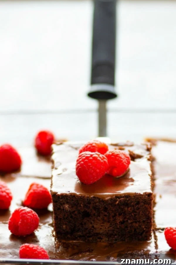 Decadent Dark Chocolate Raspberry Bake 3 Slice of Moist Dark Chocolate Raspberry Sheet Cake with Drizzle