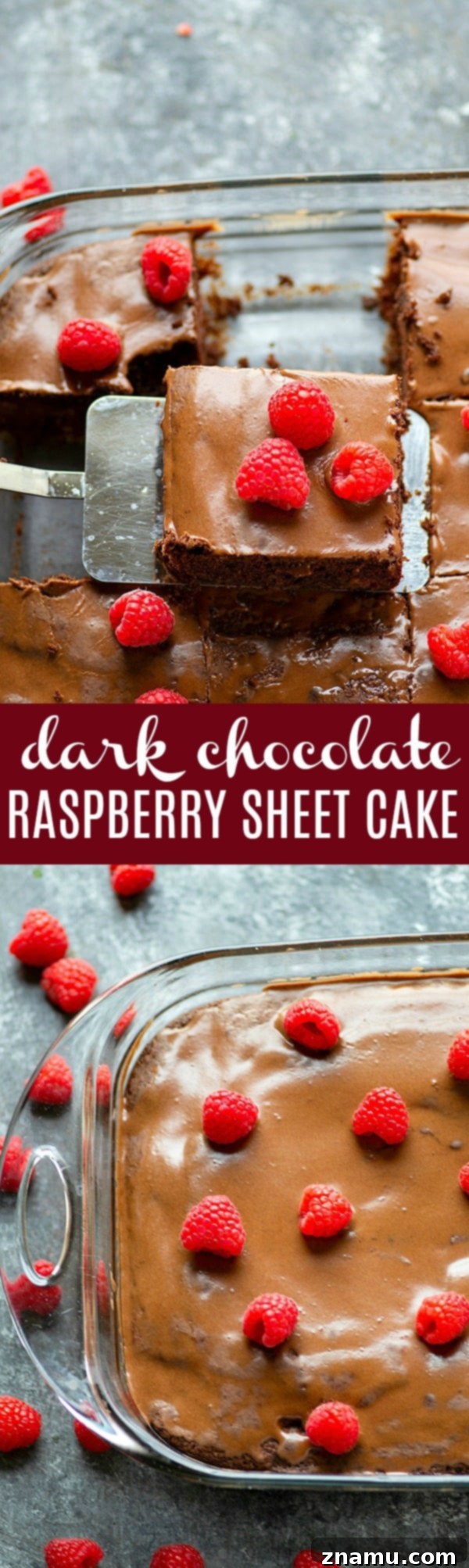 Decadent Dark Chocolate Raspberry Bake 6 Full view of Dark Chocolate Raspberry Sheet Cake, ready to serve