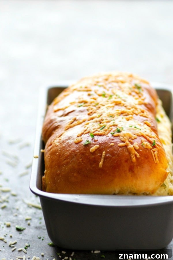 Roasted Garlic Asiago Twisted Loaf 3 Roasted Garlic Asiago Swirl Bread - Flavorful roasted garlic and sharp Asiago cheese are swirled into this incredibly soft and tender yeast bread.
