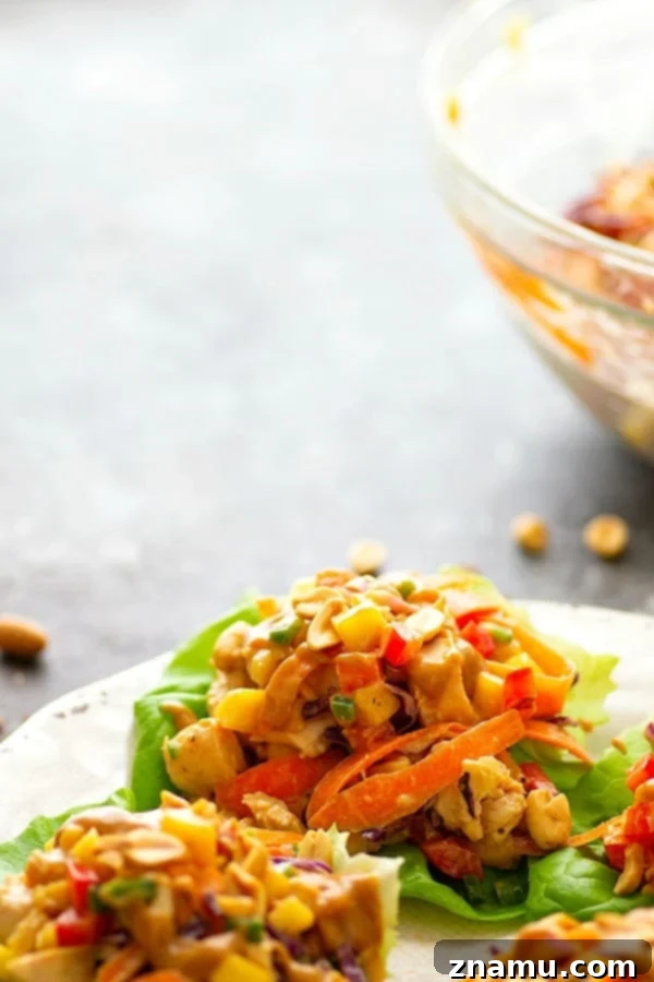 Sweet Heat Thai Mango Peanut Chicken Lettuce Wraps 2 Spicy Peanut Thai Mango Chicken Lettuce Wraps - A creamy peanut sauce and spicy Thai flavors collide in these colorful mango chicken lettuce wraps that are a perfect lighter lunch or dinner!