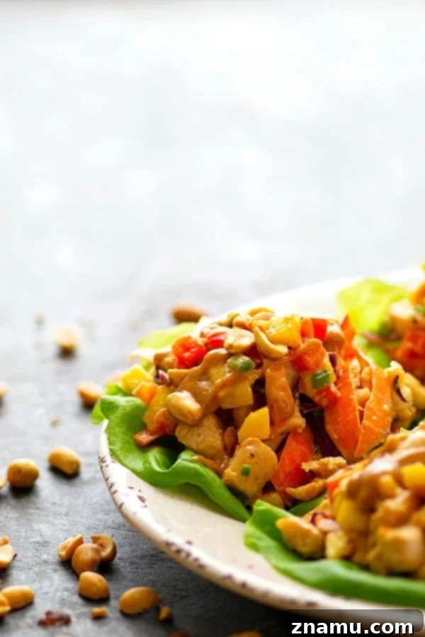 Sweet Heat Thai Mango Peanut Chicken Lettuce Wraps 4 Spicy Peanut Thai Mango Chicken Lettuce Wraps - A creamy peanut sauce and spicy Thai flavors collide in these colorful mango chicken lettuce wraps that are a perfect lighter lunch or dinner!