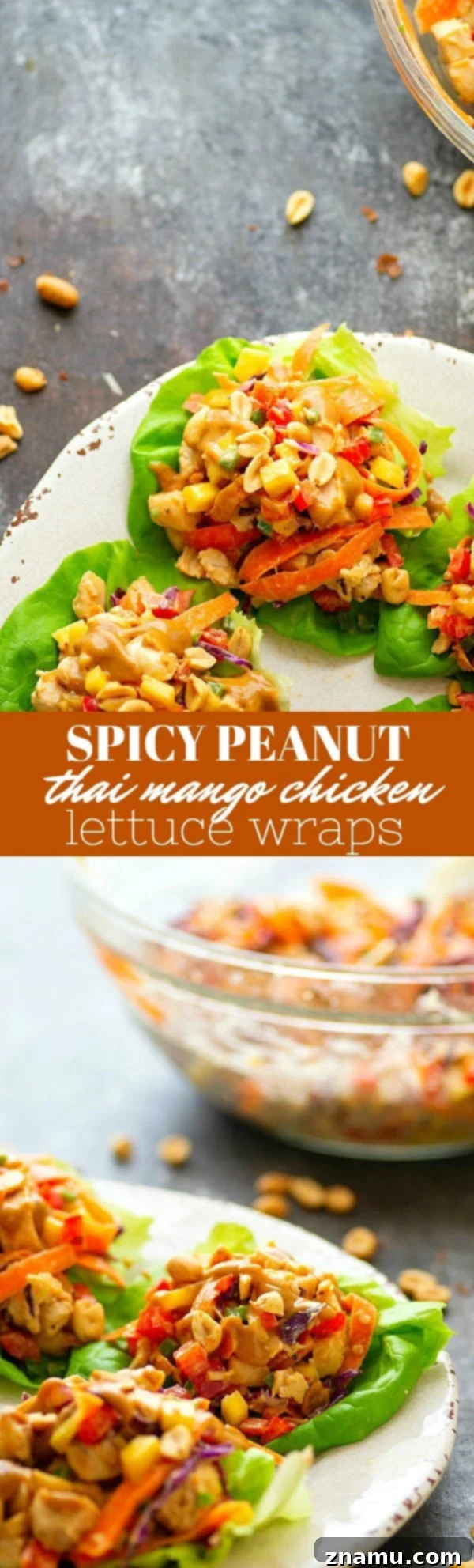 Sweet Heat Thai Mango Peanut Chicken Lettuce Wraps 5 Spicy Peanut Thai Mango Chicken Lettuce Wraps - A creamy peanut sauce and spicy Thai flavors collide in these colorful mango chicken lettuce wraps that are a perfect lighter lunch or dinner!