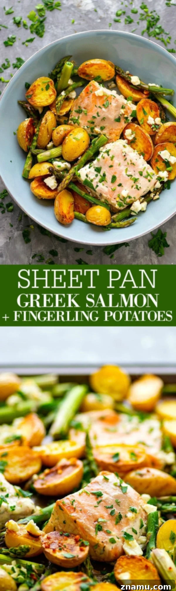 Sheet Pan Greek Salmon - Made entirely on one sheet pan and packed FULL of incredible Greek flavors, this Greek salmon and fingerling potatoes will quickly become a regular part of the dinner rotation!