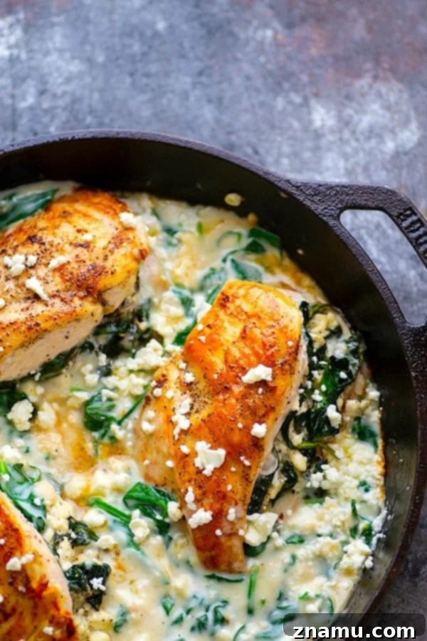 Creamy Spinach Feta Stuffed Skillet Chicken 3 Succulent chicken breasts bursting with a vibrant spinach feta filling, generously coated in a rich, creamy spinach sauce. A perfect balance of flavors and textures for an easy yet impressive dinner.