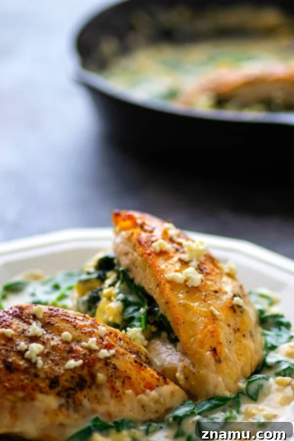 Creamy Spinach Feta Stuffed Skillet Chicken 5 A vibrant platter of creamy spinach feta stuffed chicken breasts served over a bed of fluffy rice, generously drizzled with the rich, green spinach sauce, and garnished with extra feta cheese.