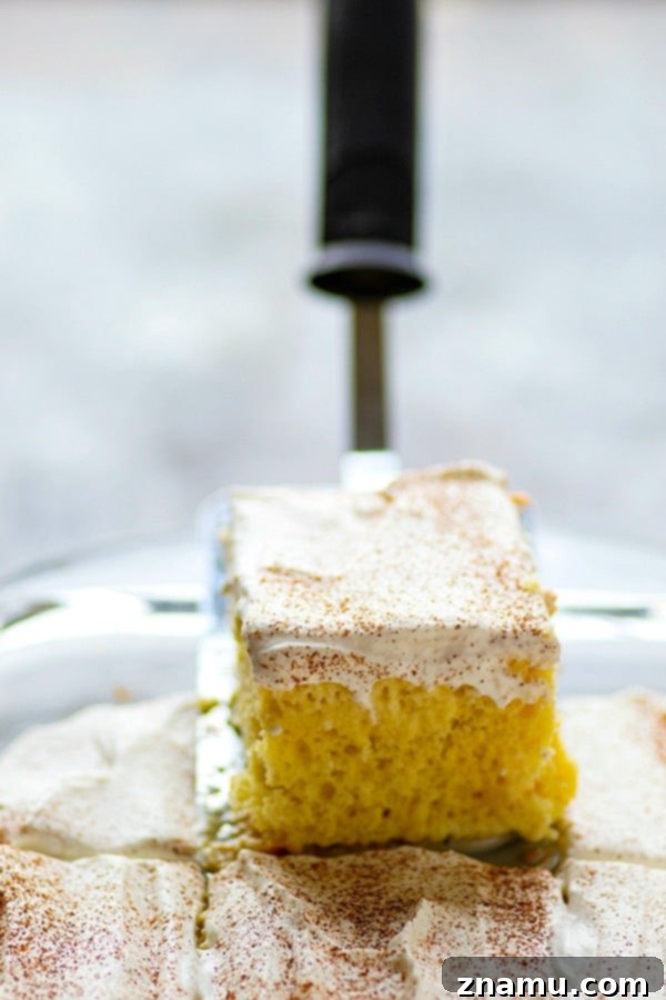 Heavenly Three-Milk Cake 3 Close-up shot of a slice of tres leches cake, revealing the perfectly soaked sponge and creamy topping.