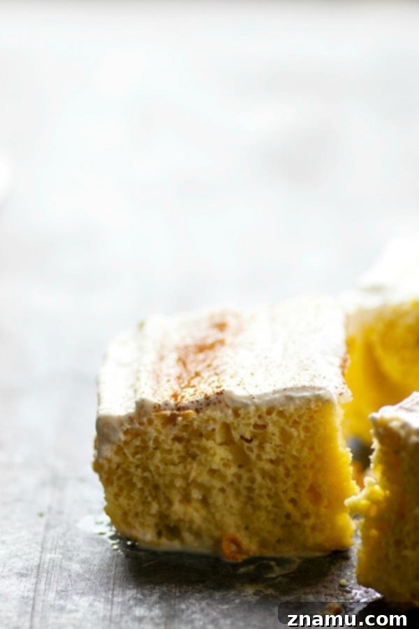 Heavenly Three-Milk Cake 5 A large tres leches cake, beautifully topped with whipped cream and a sprinkle of cinnamon, ready to be served.