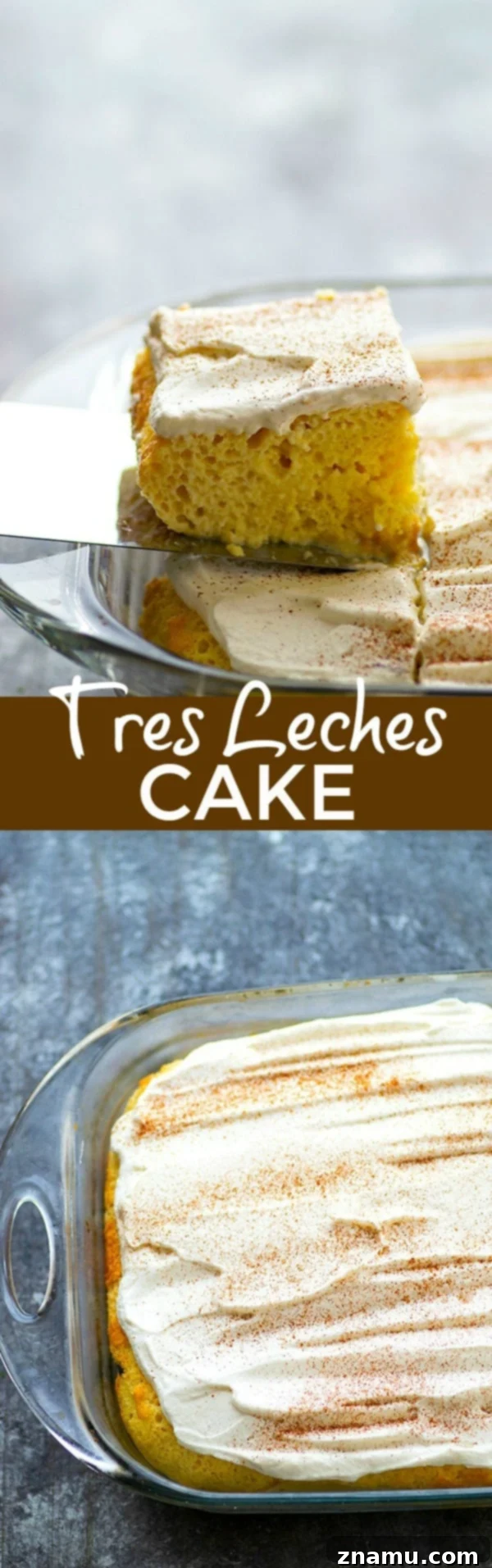 Heavenly Three-Milk Cake 6 A close-up shot of a finished Tres Leches Cake, showcasing the texture and perfect topping.
