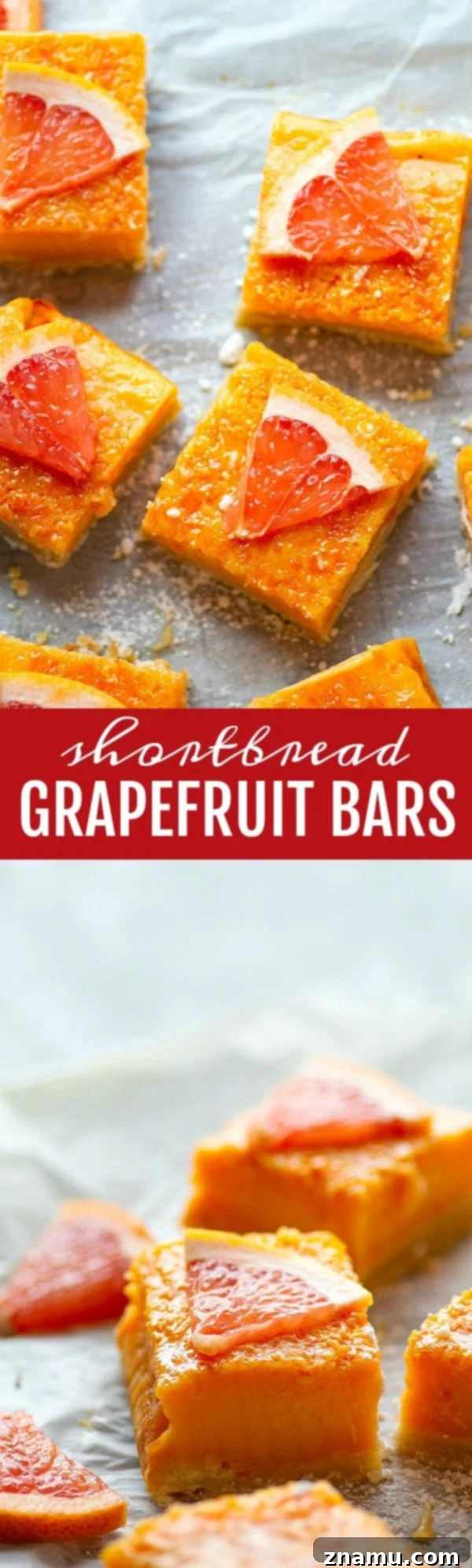 Sunshine Grapefruit Shortbread 6 Sliced Shortbread Grapefruit Bars ready to eat