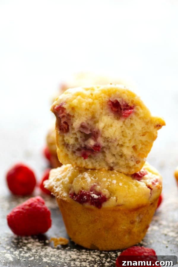 Sunshine Berry Ricotta Muffins 2 Irresistibly soft Lemon Ricotta Raspberry Muffins, perfect for spring brunch, featuring creamy ricotta, zesty lemon, and fresh raspberries