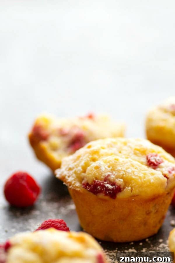 Sunshine Berry Ricotta Muffins 3 Close-up of fluffy Lemon Ricotta Raspberry Muffins, showcasing the tender crumb, zesty lemon, and vibrant raspberries