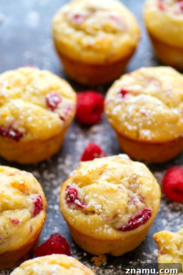 Sunshine Berry Ricotta Muffins 4 Beautifully baked Lemon Ricotta Raspberry Muffins with a dusting of powdered sugar, highlighting their delicate golden tops