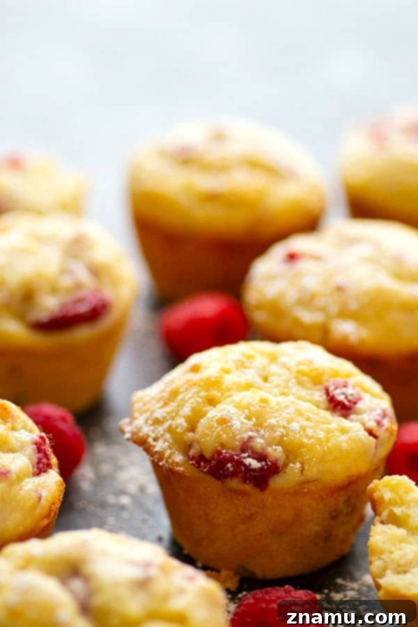 Sunshine Berry Ricotta Muffins 5 Freshly baked Lemon Ricotta Raspberry Muffins cooling on a wire rack, ready to be enjoyed as a delightful breakfast or brunch treat