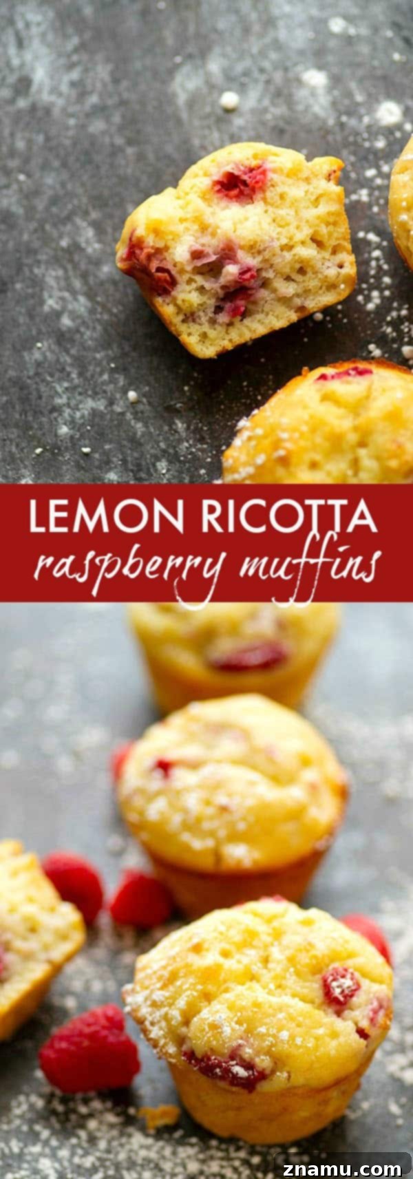 Sunshine Berry Ricotta Muffins 6 A beautiful spread of Lemon Ricotta Raspberry Muffins, a perfect addition to any spring brunch or special occasion
