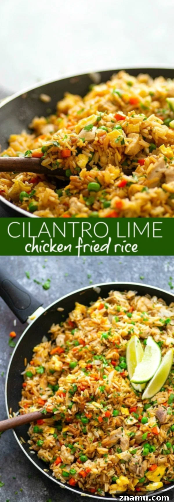 Herby Citrus Chicken Fried Rice 6 A close-up of the Cilantro Lime Chicken Fried Rice, highlighting the juicy chicken, grains of rice, and specks of cilantro.