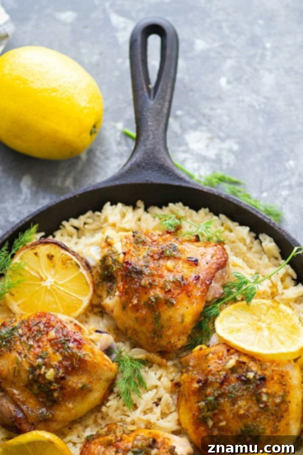 Zesty Dill-Lemon Chicken Thighs & Creamy Mascarpone Rice 2 A zingy dill lemon sauce coats crispy pan-seared lemon chicken thighs that are heavenly served on top of a pile of incredibly creamy mascarpone rice!
