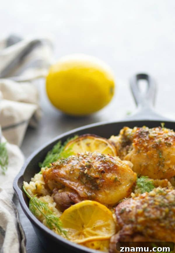 Zesty Dill-Lemon Chicken Thighs & Creamy Mascarpone Rice 3 Crispy pan-seared Dill Lemon Chicken Thighs generously coated in a bright, herbaceous sauce, nestled on creamy mascarpone rice for a heavenly meal.