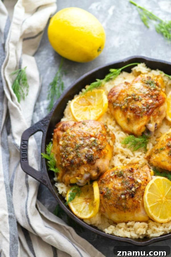 Zesty Dill-Lemon Chicken Thighs & Creamy Mascarpone Rice 4 Close-up of golden-brown pan-seared chicken thigh with fresh dill and lemon slices, ready to be served over creamy rice.