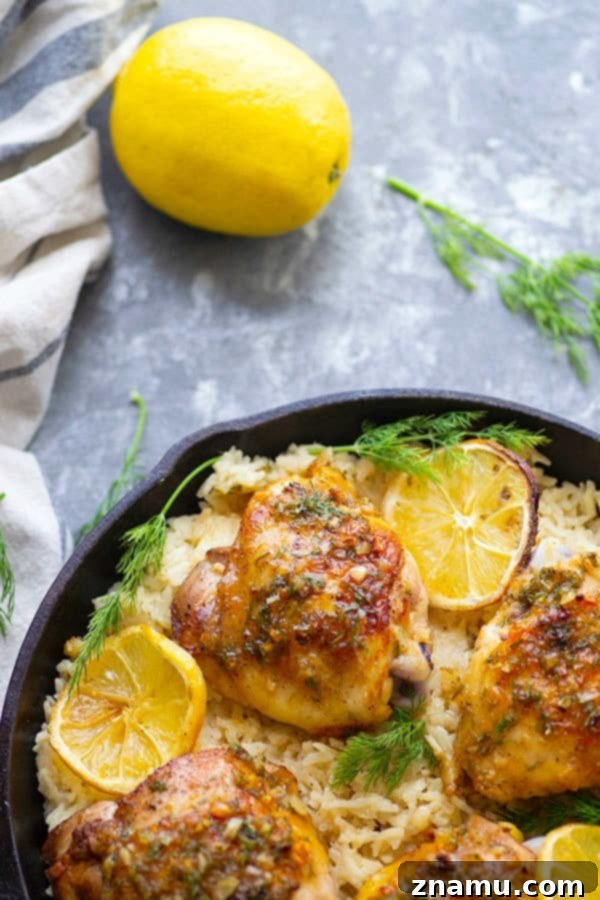 Zesty Dill-Lemon Chicken Thighs & Creamy Mascarpone Rice 5 A vibrant plate featuring dill lemon chicken thighs on creamy mascarpone rice, garnished with fresh herbs and lemon slices.