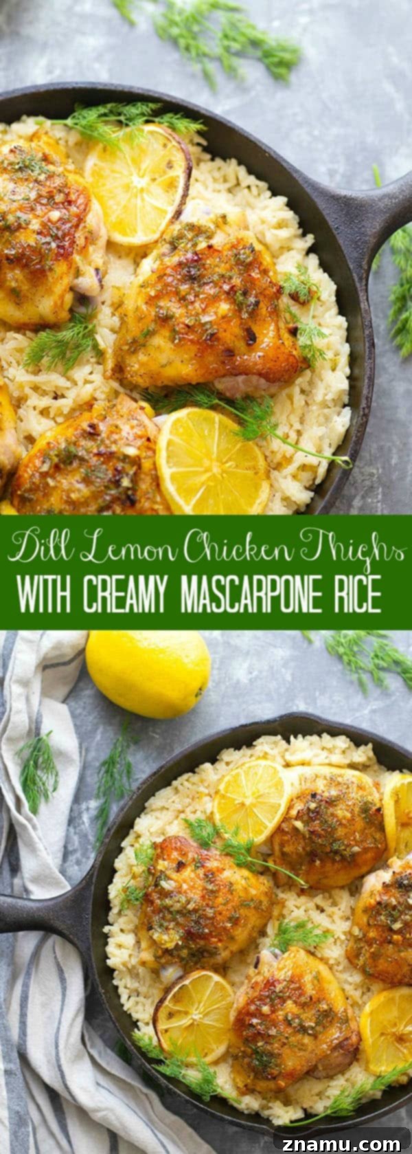 Zesty Dill-Lemon Chicken Thighs & Creamy Mascarpone Rice 6 Beautifully plated dill lemon chicken and creamy rice, showcasing the appealing textures and colors.