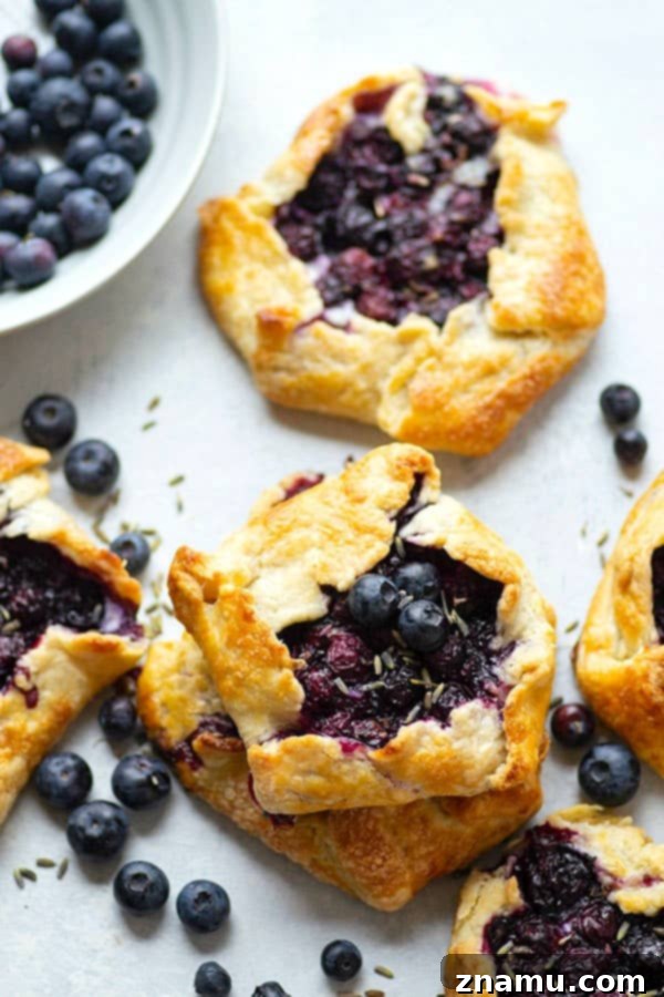 Fragrant lavender, creamy mascarpone, and juicy blueberries are a trio made in heaven in these mini blueberry galettes! Perfectly mini-sized for a handheld summer dessert.