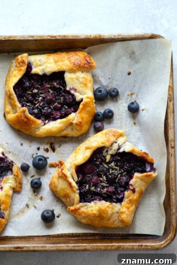 Fragrant lavender, creamy mascarpone, and juicy blueberries are a trio made in heaven in these mini blueberry galettes! Perfectly mini-sized for a handheld summer dessert.