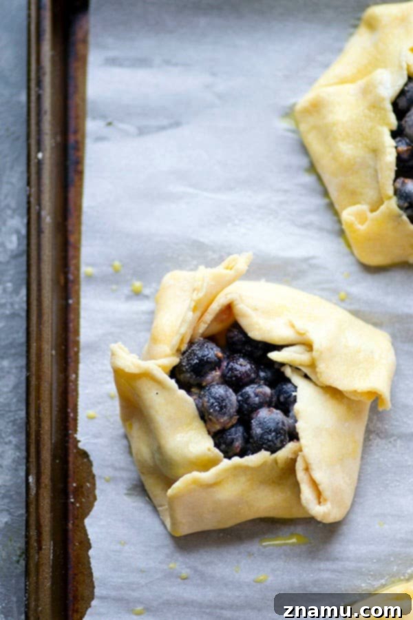 Fragrant lavender, creamy mascarpone, and juicy blueberries are a trio made in heaven in these mini blueberry galettes! Perfectly mini-sized for a handheld summer dessert.