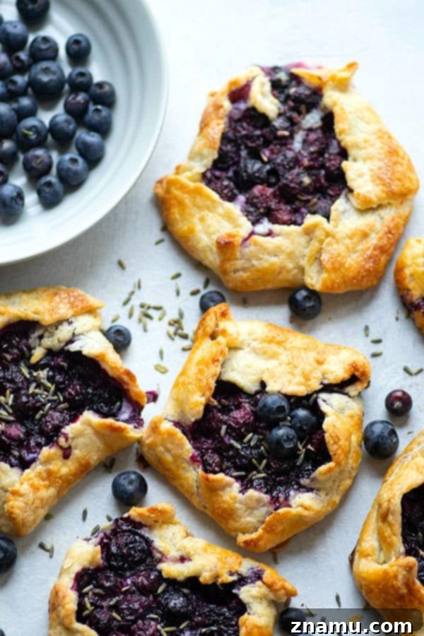 Fragrant lavender, creamy mascarpone, and juicy blueberries are a trio made in heaven in these mini blueberry galettes! Perfectly mini-sized for a handheld summer dessert.