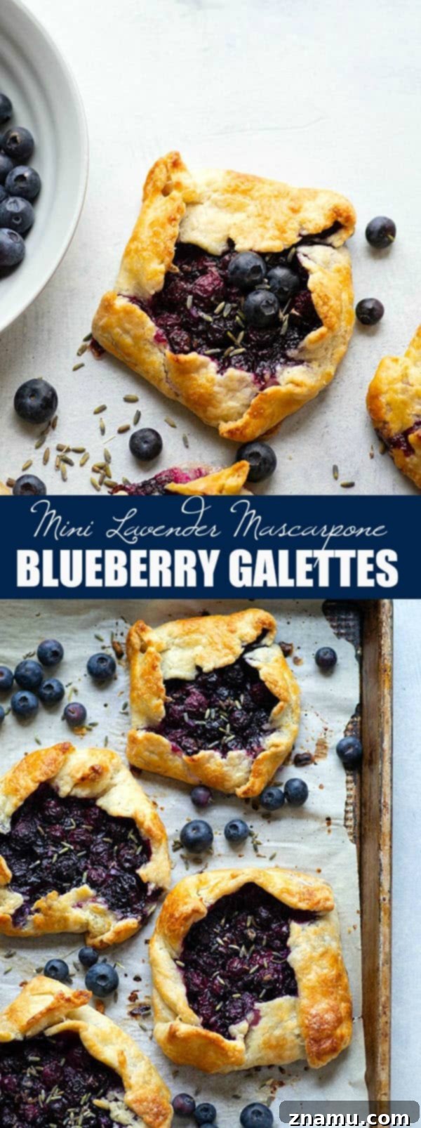 Fragrant lavender, creamy mascarpone, and juicy blueberries are a trio made in heaven in these mini blueberry galettes! Perfectly mini-sized for a handheld summer dessert.