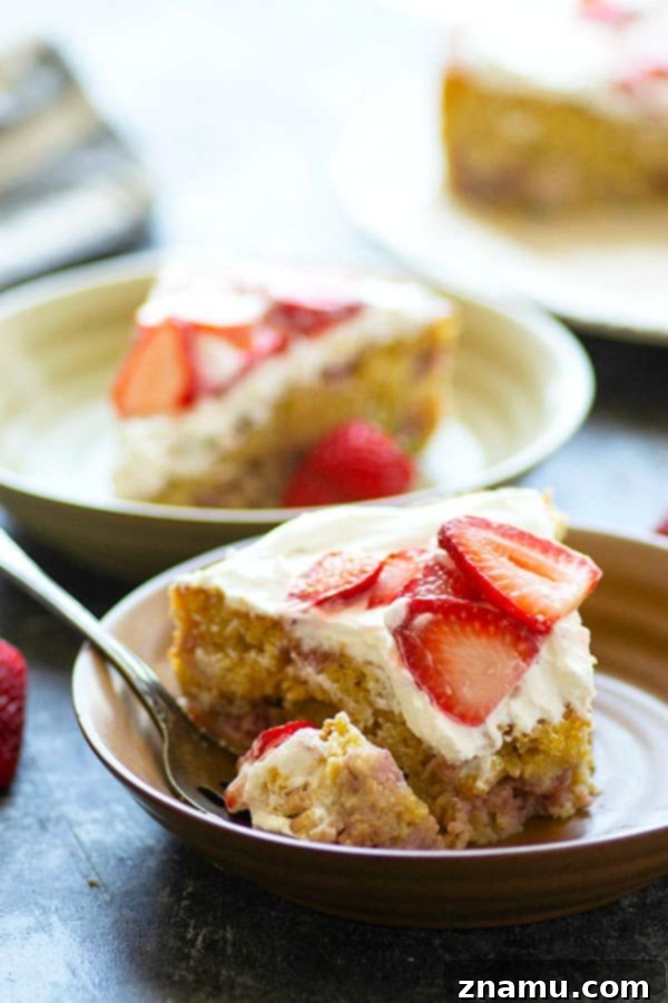 Nutty Butter Strawberry Cornmeal Cake 4 Overhead view of whole strawberry cornmeal cake