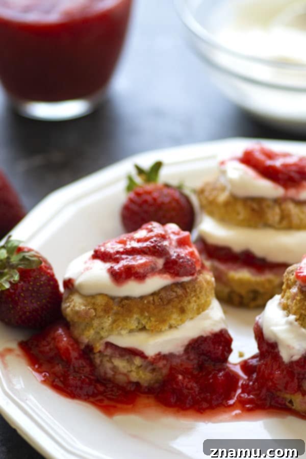 Strawberry Rhubarb Shortcake with Bright Honey Lemon Whipped Cream 4 Close-up of a strawberry rhubarb shortcake showing the light, airy whipped cream and rich fruit preserves.