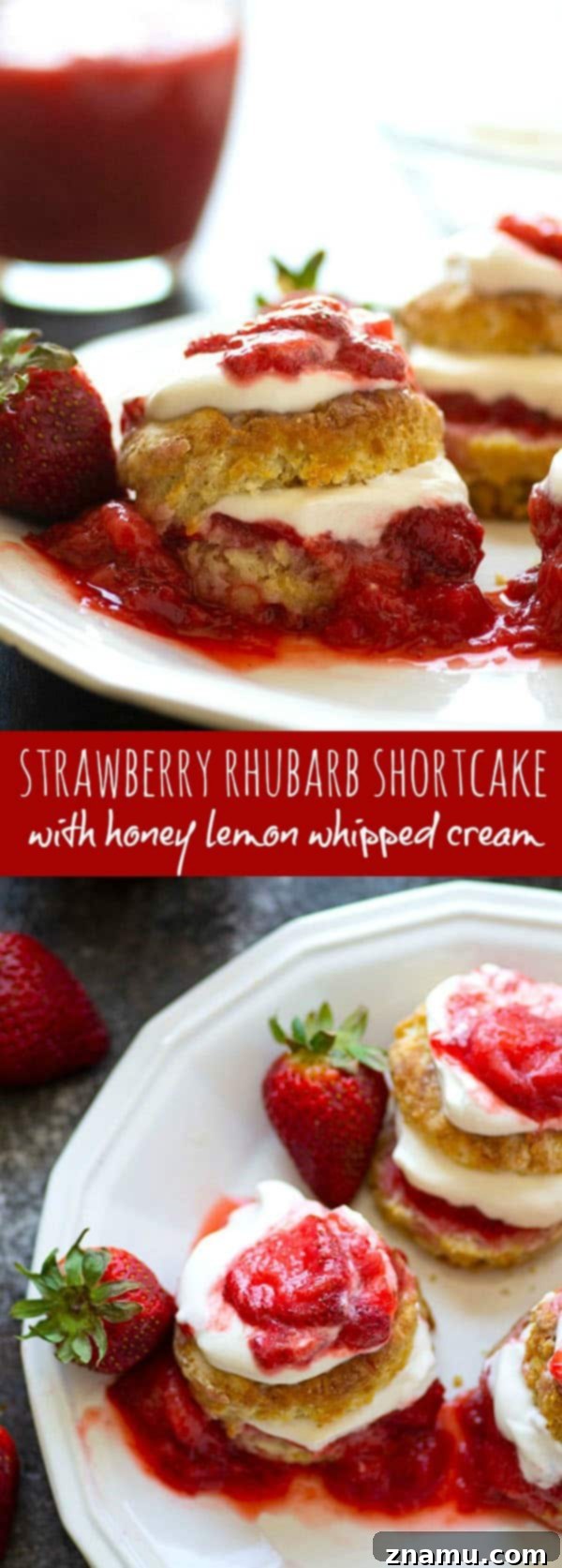 Strawberry Rhubarb Shortcake with Bright Honey Lemon Whipped Cream 6 A beautifully assembled strawberry rhubarb shortcake, showcasing its vibrant layers and inviting texture.