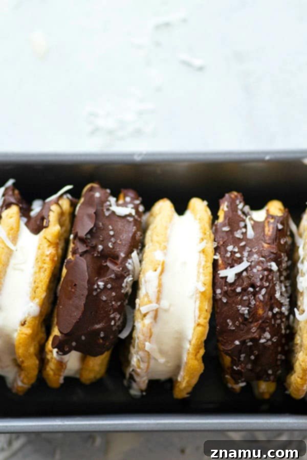 Decadent Chocolate Coconut Peanut Butter Ice Cream Treats 5 Chocolate-dipped coconut peanut butter ice cream sandwiches with sprinkles