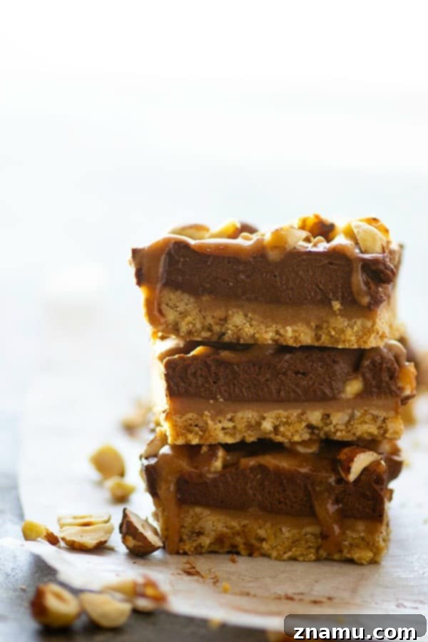 Frozen Chocolate Hazelnut Mousse Bars with Salted Caramel 2 Salted caramel sauce and a toasted hazelnut crust are an incredible duo in these frozen chocolate mousse bars. -- the perfect creamy frozen dessert!