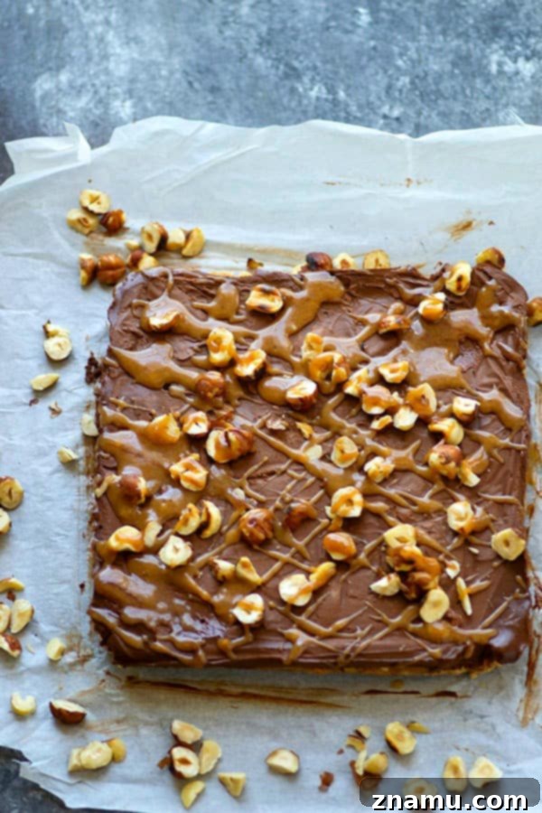 Frozen Chocolate Hazelnut Mousse Bars with Salted Caramel 3 Salted caramel sauce and a toasted hazelnut crust are an incredible duo in these frozen chocolate mousse bars. -- the perfect creamy frozen dessert!