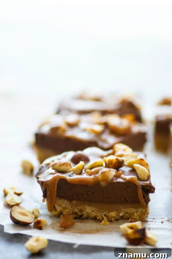 Frozen Chocolate Hazelnut Mousse Bars with Salted Caramel 4 Salted caramel sauce and a toasted hazelnut crust are an incredible duo in these frozen chocolate mousse bars. -- the perfect creamy frozen dessert!