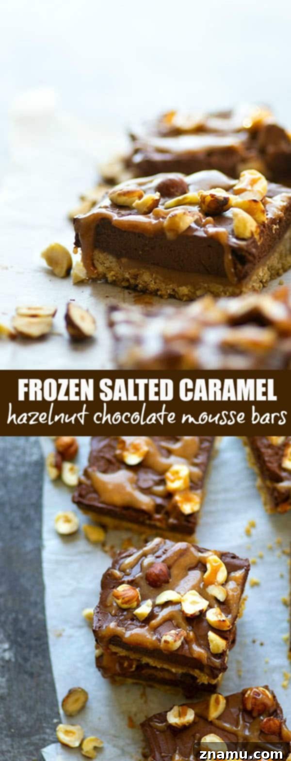 Frozen Chocolate Hazelnut Mousse Bars with Salted Caramel 6 Salted caramel sauce and a toasted hazelnut crust are an incredible duo in these frozen chocolate mousse bars. -- the perfect creamy frozen dessert!