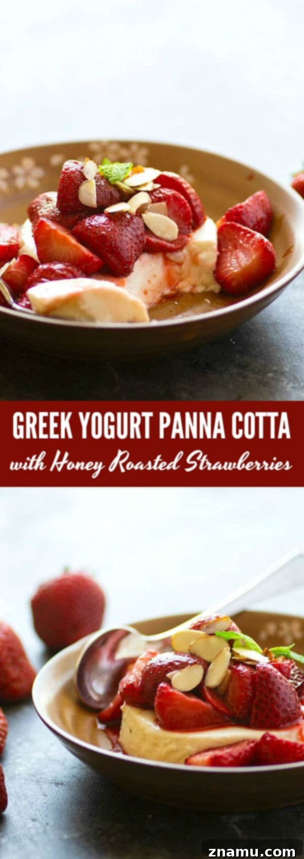 Velvety Greek Yogurt Panna Cotta with Honey-Kissed Strawberries 6 Silky greek yogurt panna cotta is piled high with juicy honey roasted strawberries for a luxurious no-bake summer dessert!