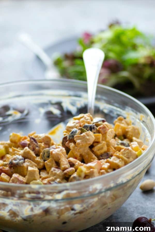 Curried Greek Yogurt Chicken Salad with Cherries and Pistachios 3 Close-up of the cherry pistachio Greek yogurt curry chicken salad, highlighting the creamy texture of the dressing clinging to the chicken and fresh ingredients.
