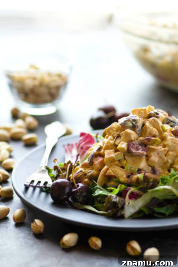 Curried Greek Yogurt Chicken Salad with Cherries and Pistachios 4 A bowl of Greek Yogurt Curry Chicken Salad with a spoon, ready to be served, showing the vibrant colors of cherries, pistachios, and chicken.