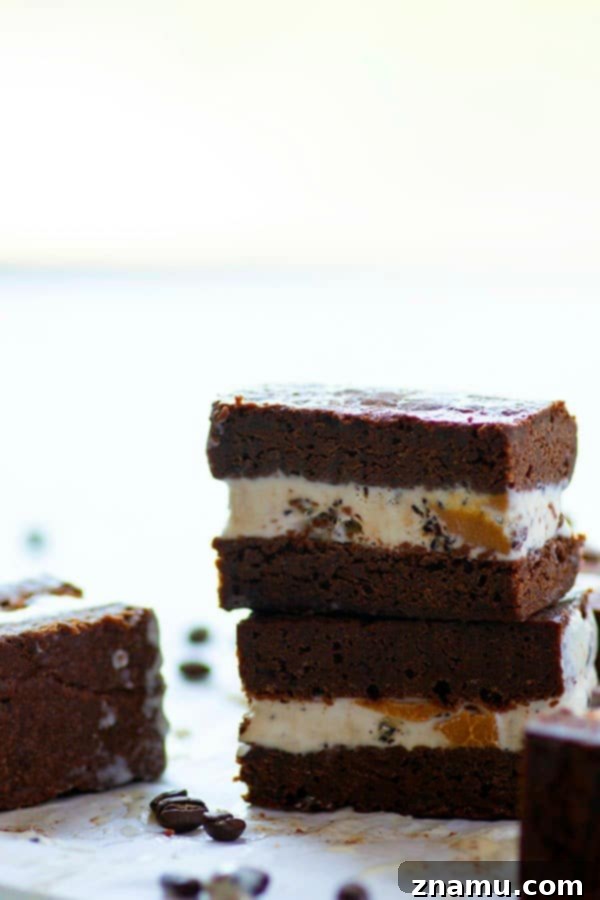 Decadent Espresso Peanut Butter Brownie Ice Cream Sandwiches 3 Close-up of a brownie ice cream sandwich, showcasing the thick layer of espresso ice cream with peanut butter swirls between two fudgy brownie halves.