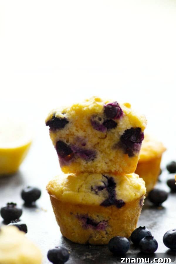 Close-up shot of baked blueberry cornbread muffins, highlighting their tender crumb and the visible juicy blueberries within, promising a delightful texture.