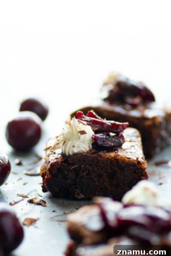 Velvet Cherry Forest Brownies 5 A perfectly assembled Black Forest Cherry Brownie, showing layers of chocolate, cherry, fudge, and whipped cream.