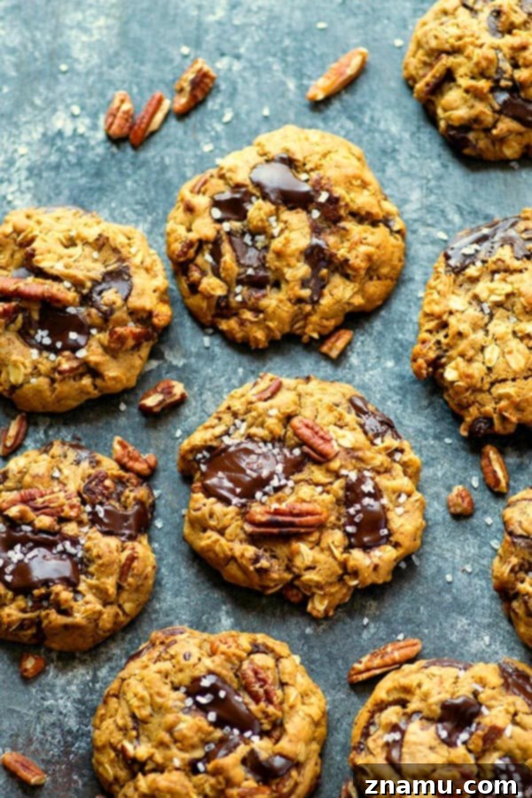Rustic Dark Chocolate Pecan Oatmeal Cookies 2 Gooey dark chocolate, toasty pecans, tender oats, and a sprinkle of sea salt take these pecan oatmeal cookies to the next level! Comes together in one bowl with NO dough chilling required.