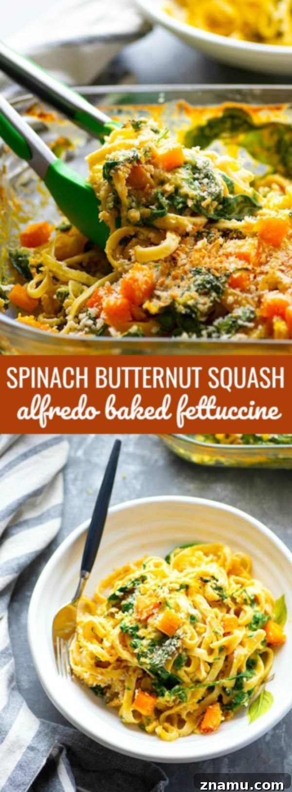 Golden Butternut Alfredo Fettuccine Bake with Fresh Spinach 6 Fettuccine alfredo gets a fall upgrade with lots of tender baby spinach and a luxuriously creamy butternut squash alfredo sauce that's lighter on the calories!