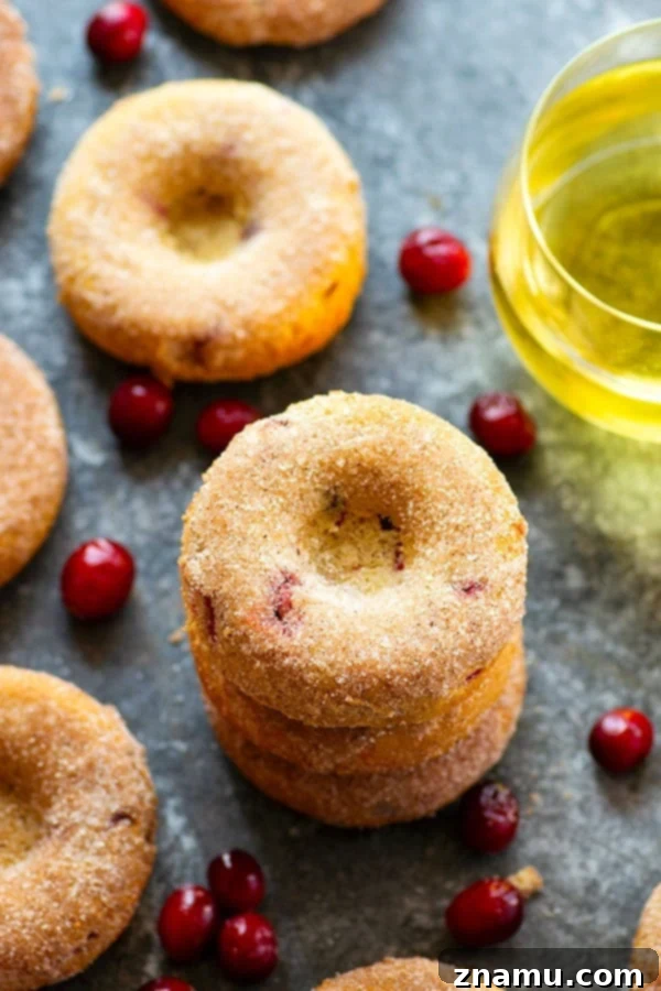 Tangy Cranberry Apple Cider Donuts 2 Delicious Cranberry Baked Apple Cider Donuts, a perfect fall treat