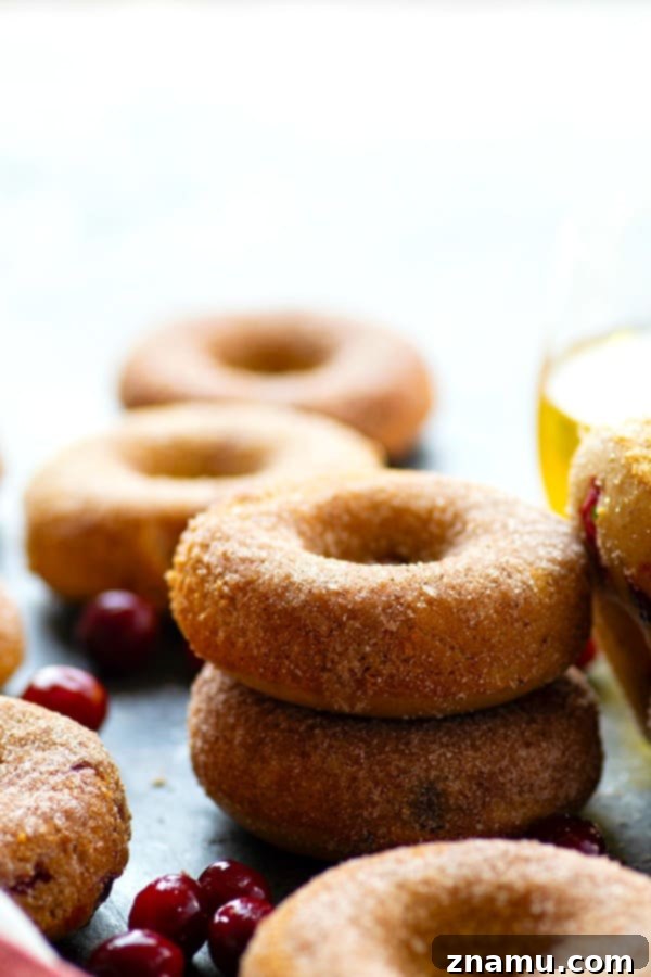 Tangy Cranberry Apple Cider Donuts 3 Stack of Cranberry Baked Apple Cider Donuts with a cup of cider