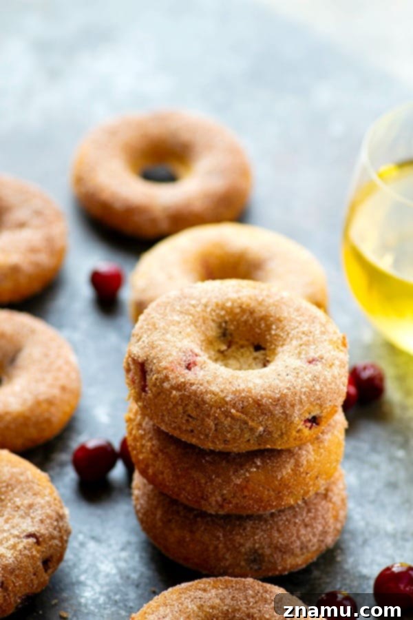 Tangy Cranberry Apple Cider Donuts 4 Close-up of a Cranberry Baked Apple Cider Donut, showing texture and cranberries